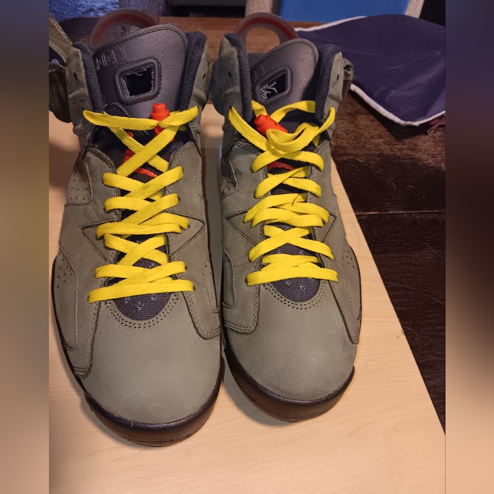 Jordan retro 6 cactus jack
